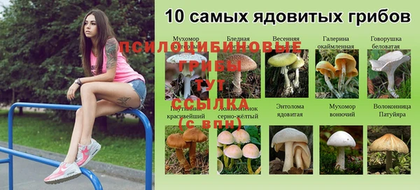амф Красноперекопск