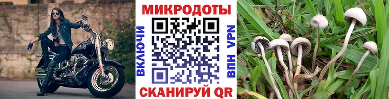 как найти закладки  Мезень  Псилоцибиновые грибы Magic Shrooms 
